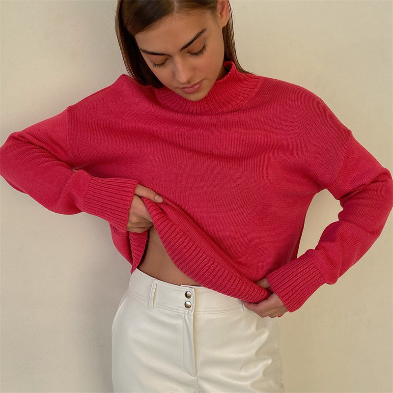 Pull Col Roulé Femme